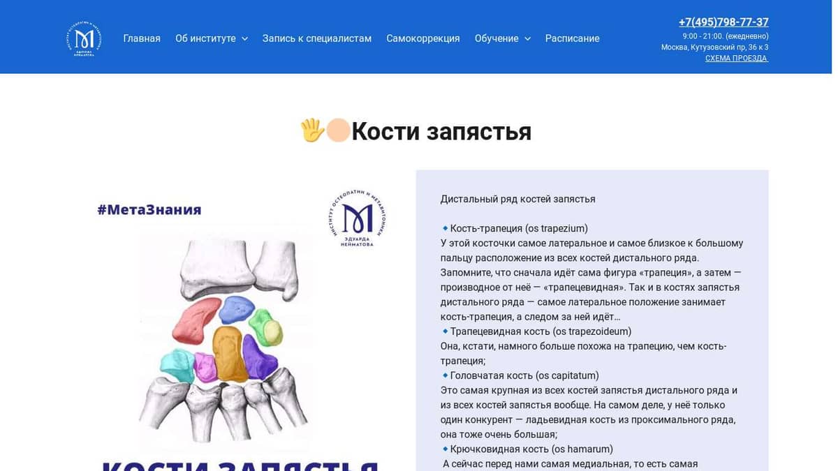 Кости запястья