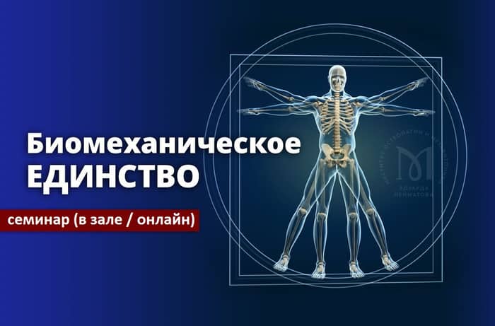 Инженерная биомеханика презентация