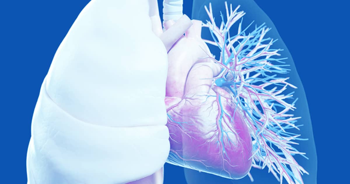 Әтештермен түрмедегі порно